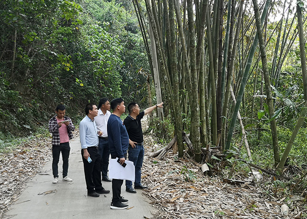 陈允刚指出,要进一步加强乐业县与雅长林场林下经济土地资源开发合作